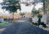Xalet independent amb terreny en venda a la España, el Fondó de les Neus, ref.: TR351148 foto