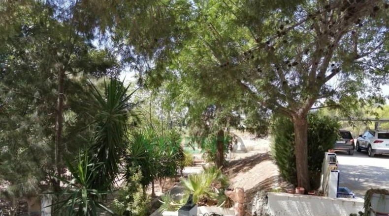 Murcia - Molina de Segura - 4000m2