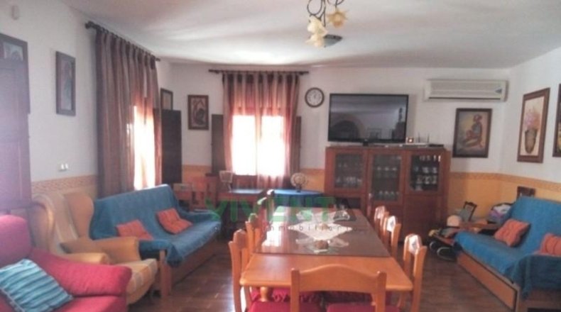 Murcia - Molina de Segura - 4000m2