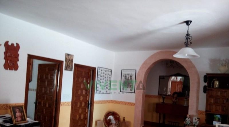 Murcia - Molina de Segura - 4000m2