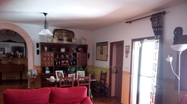 Murcia - Molina de Segura - 4000m2