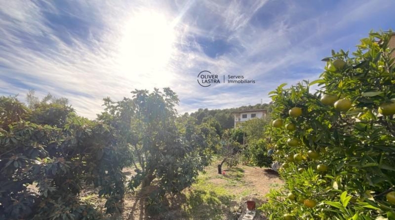 Barcelona - Sant Andreu de la Barca - 539m2