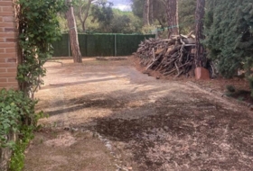 Foto 13