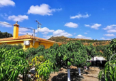 Casa de camp amb terreny en venda a la España, Vélez-Málaga, ref.: TR138228 foto