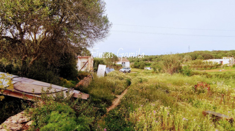 Islas Baleares - Alaior - 8250m2