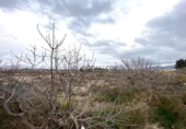 Chalet independiente con terreno en venta en la España, Fortuna, ref: TR143158 foto
