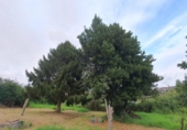 Land suitable for development for sale on España, Vigo, ref: TR133440 photo