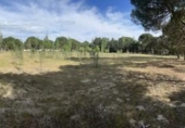 Casa de campo con terreno en venta en la España, Viana de Cega, ref: TR146431 foto