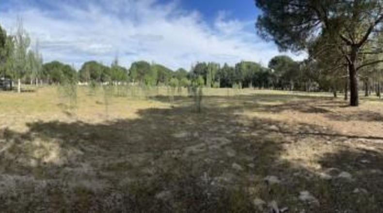 Valladolid - Viana de Cega - 51705m2
