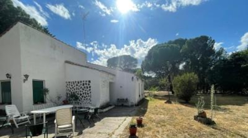 Valladolid - Viana de Cega - 51705m2