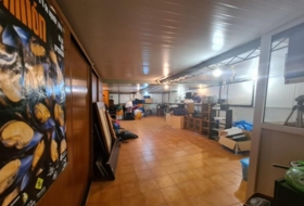 Coria del Río 2571&nbsp;m² 