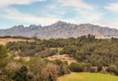 Xalet independent amb terreny en venda a la España, Piera, ref.: TR141094 foto