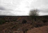 Detached villa with land for sale on España, Ruidera, ref: TR359390 photo