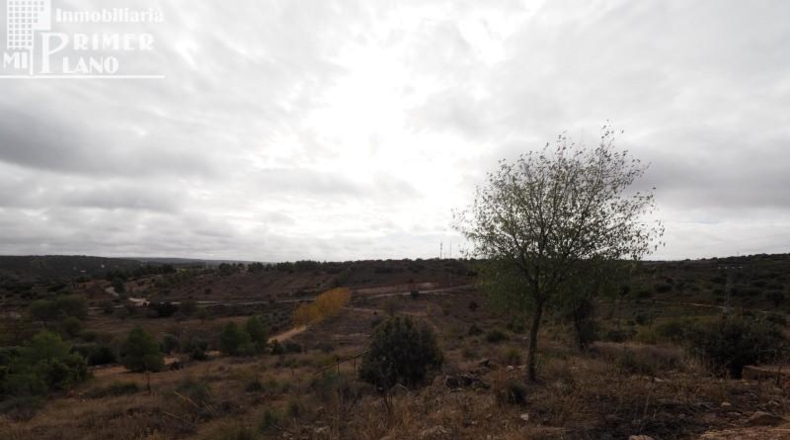 Ciudad Real - Ciudad Real - 28862m2