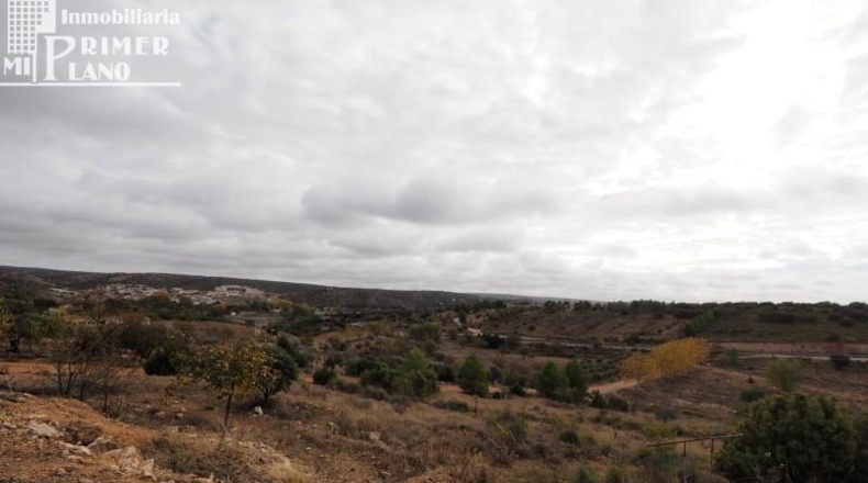 Ciudad Real - Ciudad Real - 28862m2