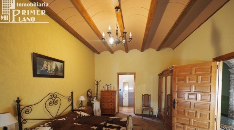Ciudad Real - Ciudad Real - 28862m2