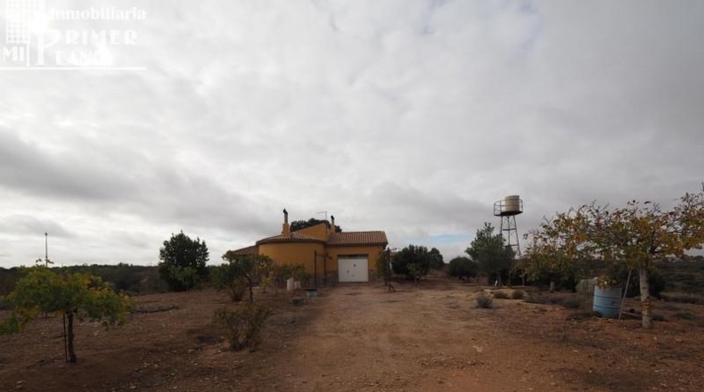 Ciudad Real - Ciudad Real - 28862m2