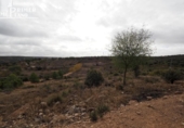 Detached villa with land for sale on España, Ruidera, ref: TR359390 photo