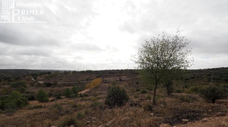 Ciudad Real - Ciudad Real - 28862m2
