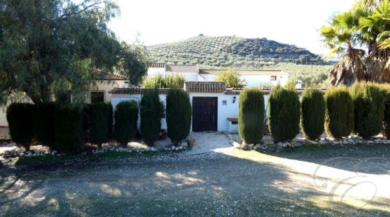 Córdoba - Iznájar - 1178m2