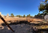 Casa de camp amb terreny en venda a la España, Fuente Álamo, ref.: TR153006 foto