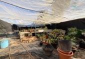 Casa de camp amb terreny en venda a la España, Fuente Álamo, ref.: TR153006 foto