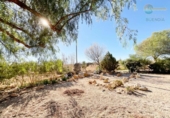 Casa de camp amb terreny en venda a la España, Fuente Álamo, ref.: TR153006 foto