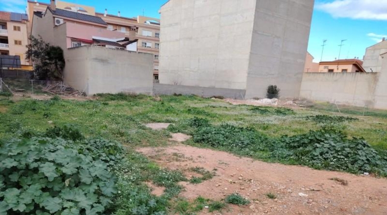 Valencia - Puebla de Vallbona - 499m2