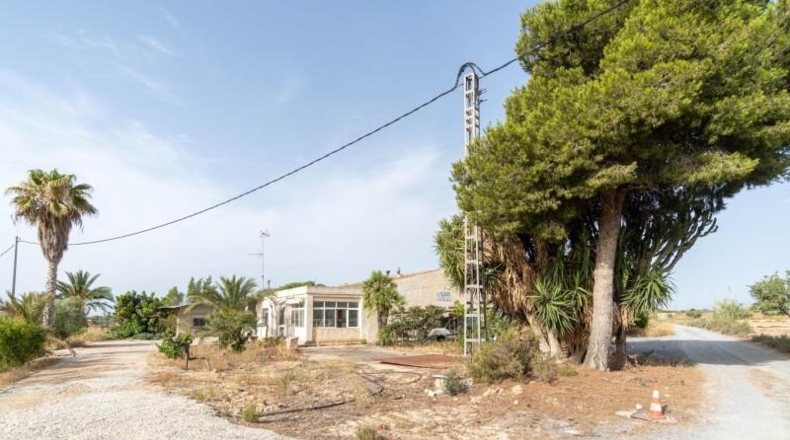 Alicante - Elche - 6574m2