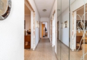 Casa de camp amb terreny en venda a la España, Elx, ref.: TR311428 foto