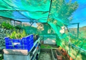 Отдельно стоящий дом с участком на продажу в городе Tortosa Фото