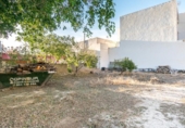 Xalet independent amb terreny en venda a la España, Redovà, ref.: TR340298 foto