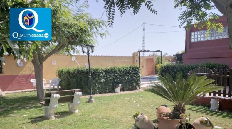Murcia - Torre-Pacheco - 4800m2