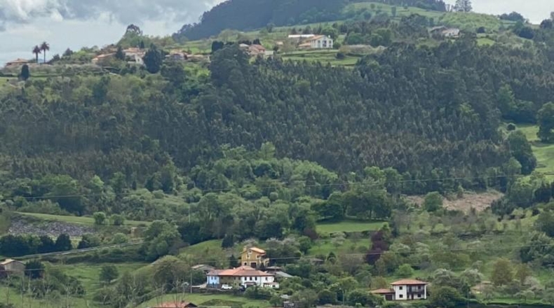Asturias - Villaviciosa - 11906m2