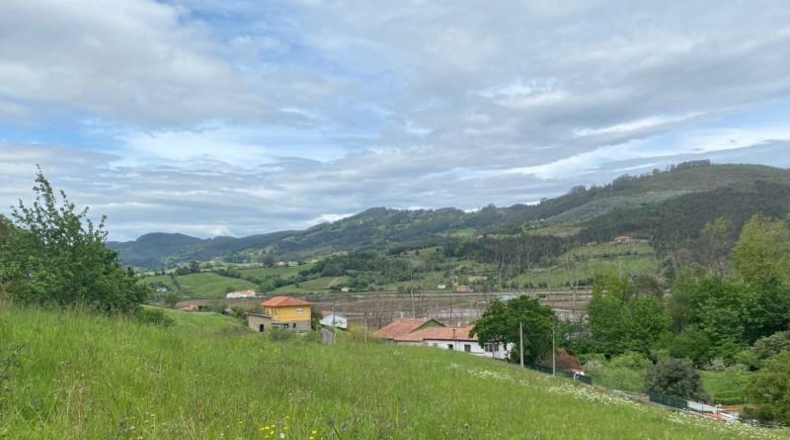 Asturias - Villaviciosa - 11906m2