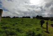 Land suitable for development for sale on España, Villaviciosa, ref: TR171036 photo