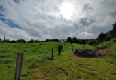 Land suitable for development for sale on España, Villaviciosa, ref: TR171036 photo