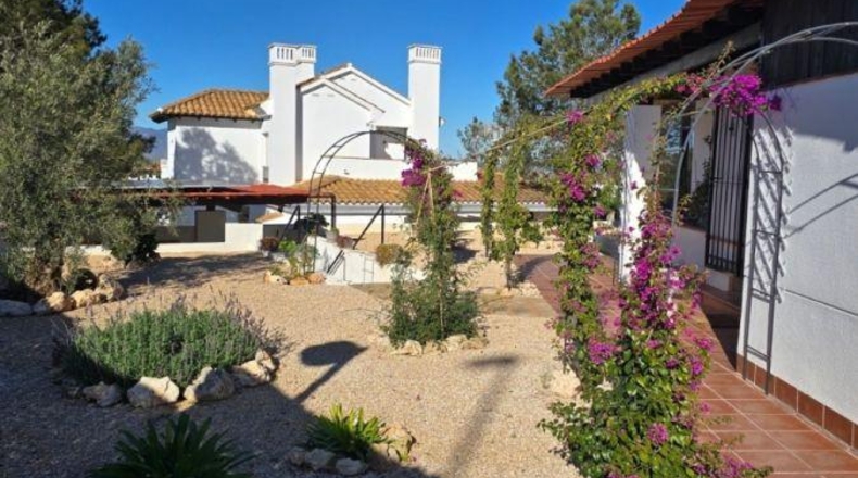 Múrcia - Fuente Álamo de Murcia - 531m2