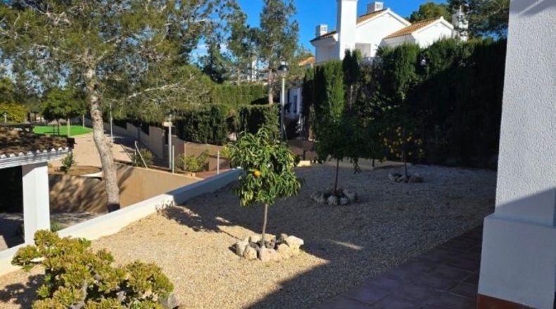 Múrcia - Fuente Álamo de Murcia - 531m2
