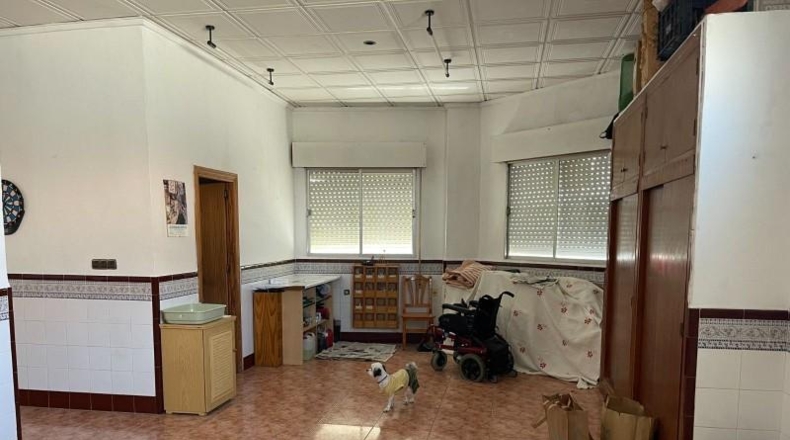 Alicante - San Miguel de Salinas - 290m2
