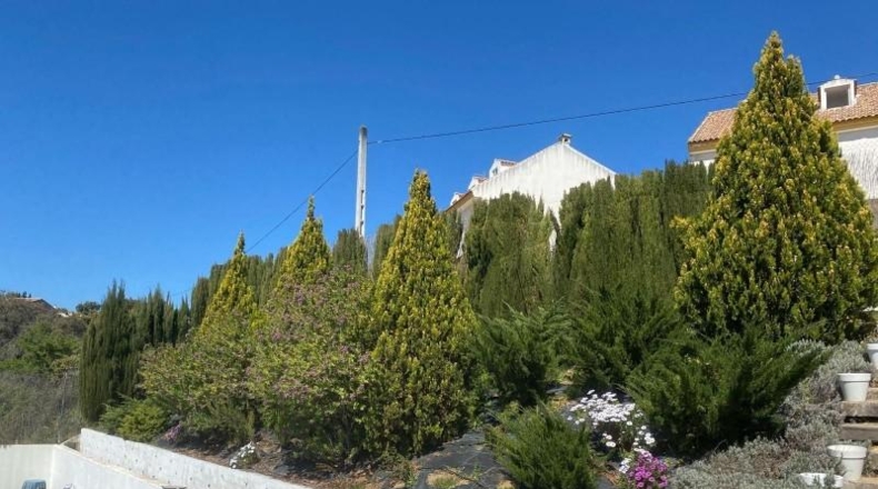 Córdoba - Còrdova - 689m2