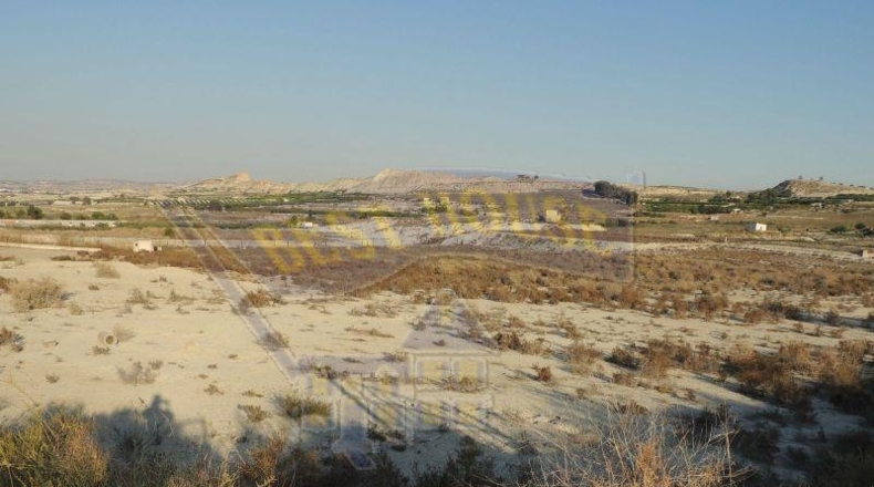 Múrcia - Alguazas - 56000m2