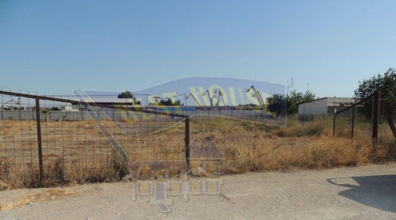Múrcia - Alguazas - 56000m2
