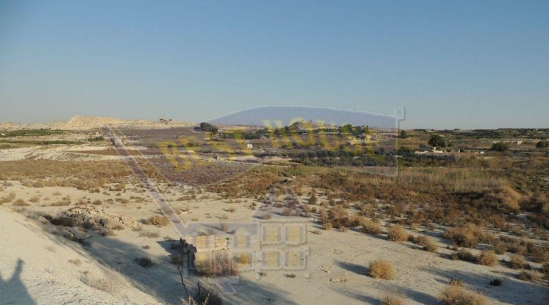 Múrcia - Alguazas - 56000m2