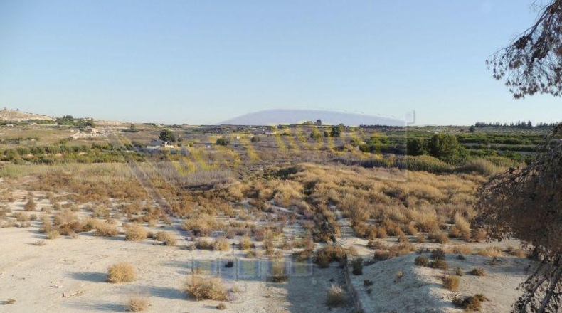 Múrcia - Alguazas - 56000m2