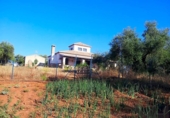 Casa de campo con terreno en venta en la España, Las Navas de la Concepción, ref: TR149180 foto