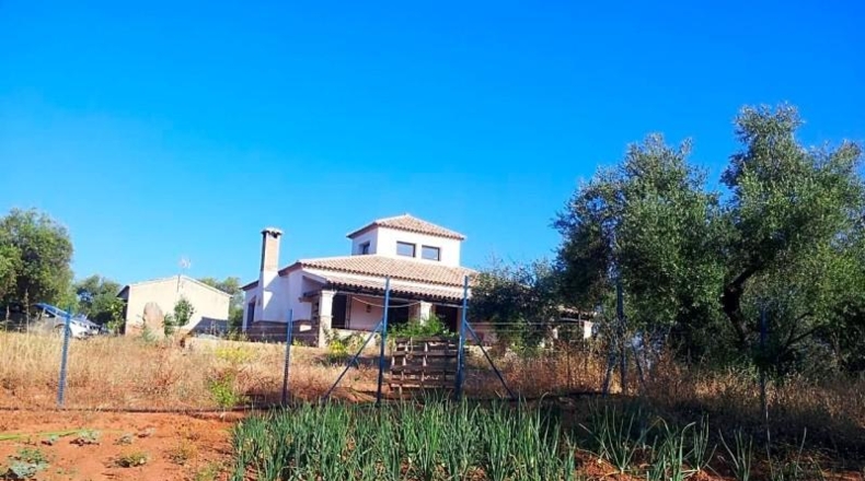 Sevilla - Las Navas de la Concepción - 97600m2