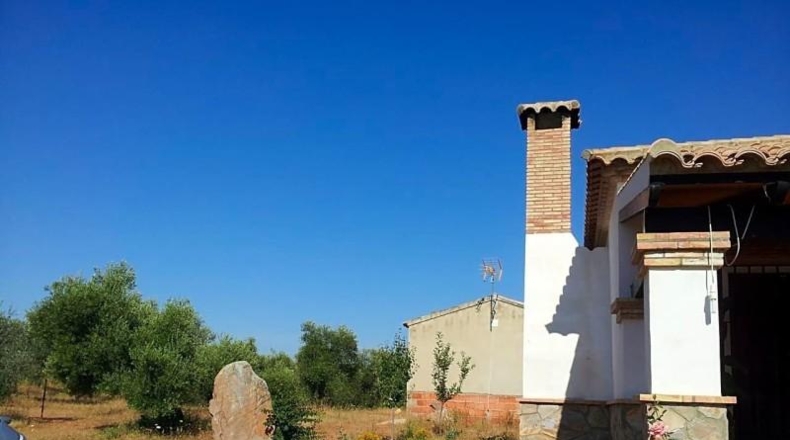 Sevilla - Las Navas de la Concepción - 97600m2