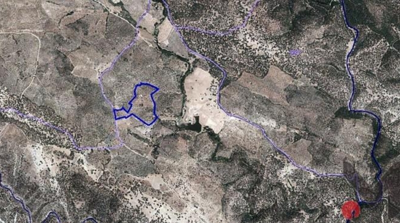 Sevilla - Las Navas de la Concepción - 97600m2