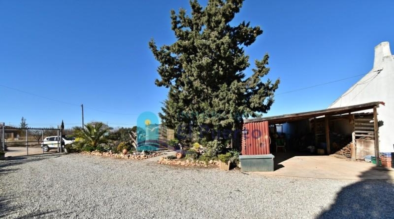 Murcia - Fuente Álamo de Murcia - 3500m2